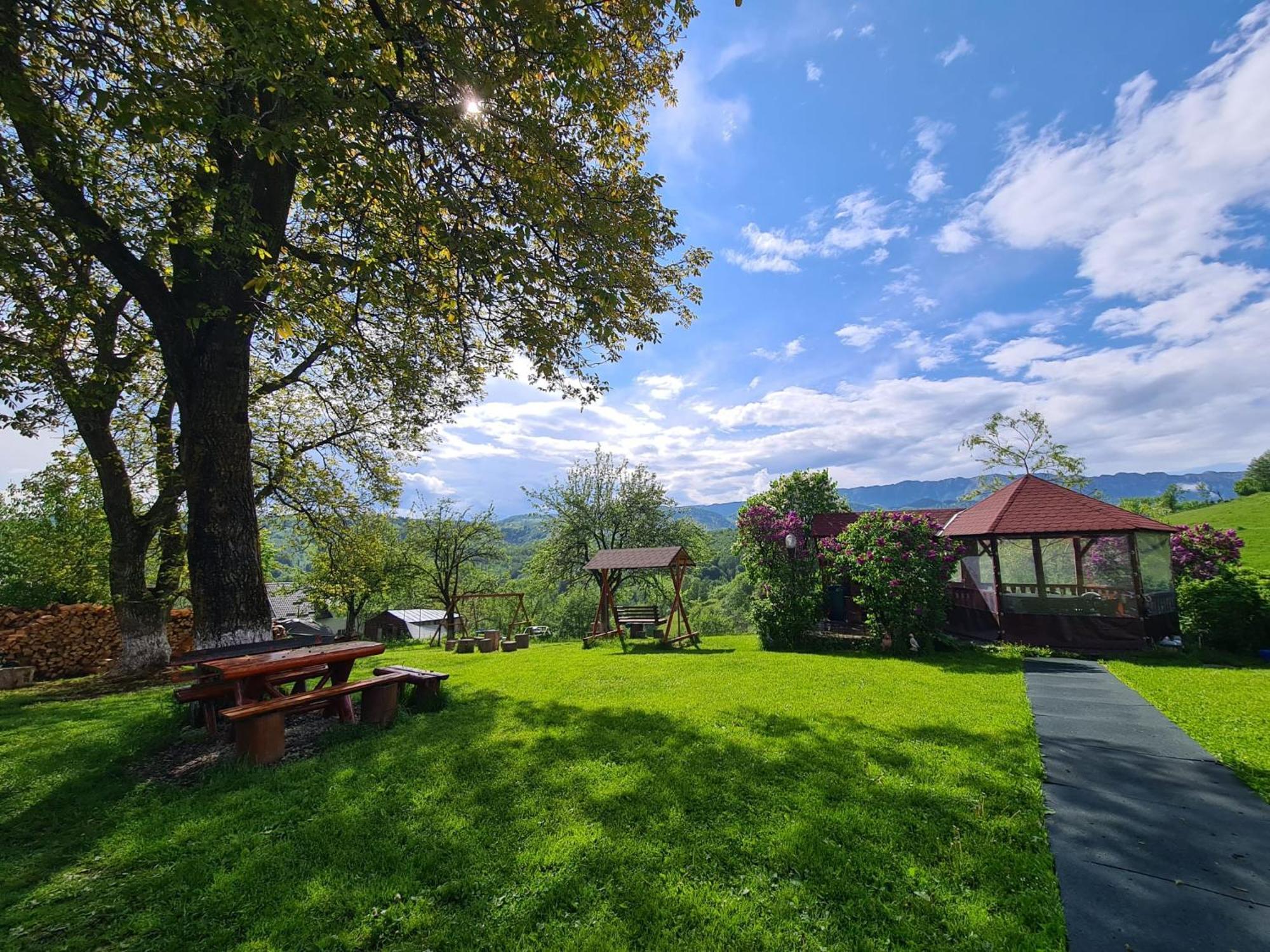 Nona Highland Home Moieciu de Jos Exterior photo